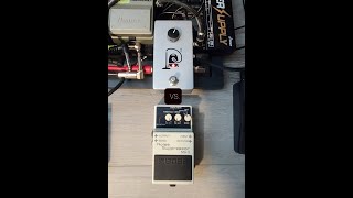 Boss NS-2 VS. 68 Pedals ISP Decimator II G String Clone