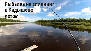 Рыбалка в Кадышеве летом.