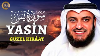 YASİN SÛRESİ, GÜZEL KIRÂAT Tam Kıraat | Rahatlatıcı Kur’an Dinletisi | (Türkçe Okunuş ve Anlamı)