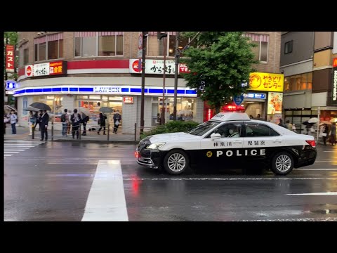 パトカー サイレン鳴らして転回 神奈川県警察