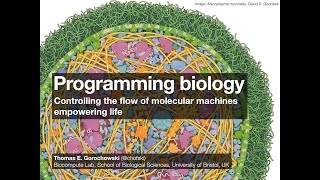 Programming biology – controlling the flow of molecular machines empowering life (IWBDA 2021)