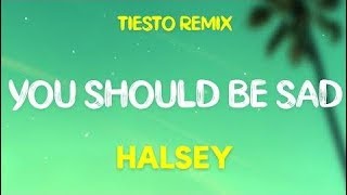 Halsey - You should be sad (Tiësto Remix) (Lyrics)
