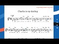 Charlie is my darling //lesson in B minor/srgmeasylearning.