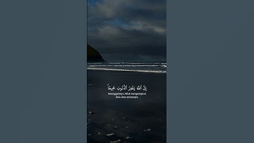 #قران_كريم_ارح_سمعك_وقلبك #ياسر_الدوسري #سوره_الزمر🤍
