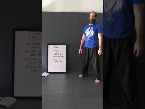 At home workout #3, part 5: kata focus