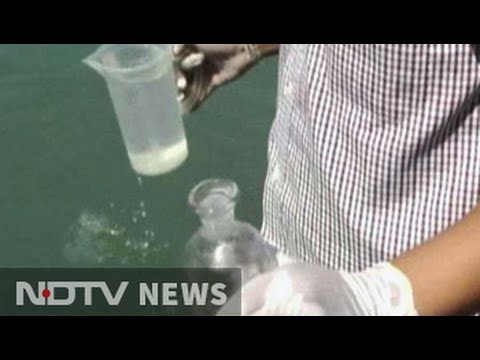 Scientists To Study Ganga Water To Find 'X-Factor' That Purifies It -  Youtube