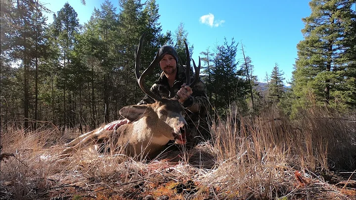 BC Solo Mule Deer Hunt 2021