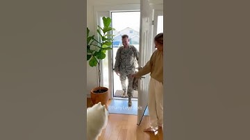 🥰🥰 Tears and Tail - wags: Soldier