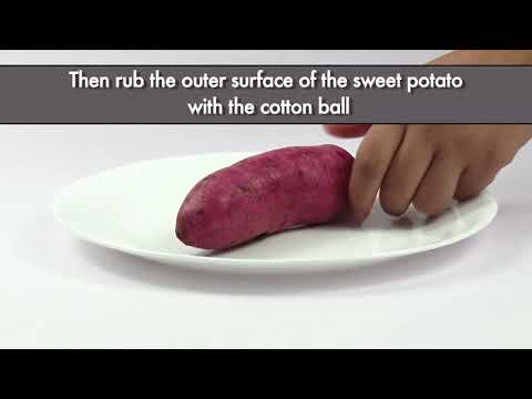 Detecting Rhodamine B Adulteration in Sweet Potato