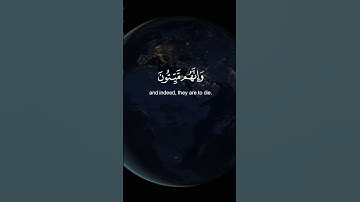 إنك ميت وإنهم ميتُون #قرآن #القرآن_الكريم#quran #اكسبلور #لايك #دويتو #duet #تلاوة_خاشعة #ارح_سمعك