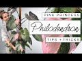 How i grew my pink princess huge in just one year  pink princess philodendron tips