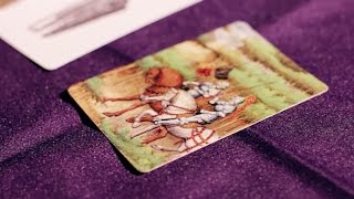 Ortus Regni - Kickstarter Video