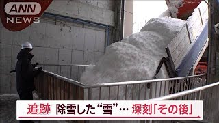 除雪後の「雪」　深刻な「その後」　北海道ならでは“処理方法”…“マンゴー栽培”も【Jの追跡】(2023年2月19日)