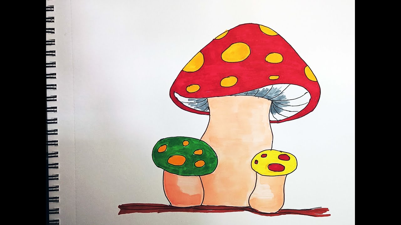 MUSHROOM DRAWINGS MUSHROOM DRAWINGS EASY VEGETABLE DRAWINGS FOR KIDS YouTube