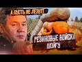 Сплошное надувательство! Путин наду