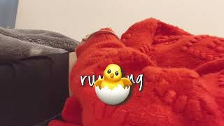 ASMR)お昼寝中のお腹の音😴⚡️🎤📱。