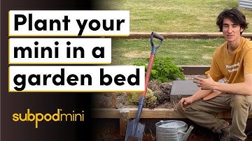 Plant Subpod Mini in your garden