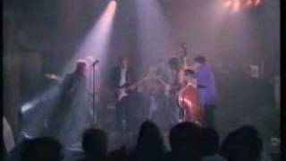 Stray Cats - Blue Suede Shoes