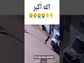 Road car allah made everything  subhan allah  miracle of allah islam allah shorts