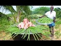 DELICIOUS DRUMSTICK CHICKEN !!! | HARVESTING and COOKING DRUMSTICK RECIPE | Village Traditional Dish