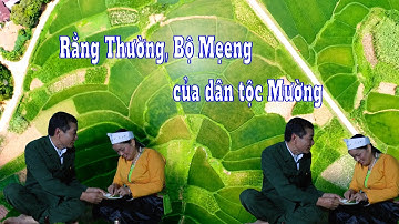 HÁT TIẾNG MƯỜNG HÒA BÌNH MỚI NHẤT -  RẰNG THƯỜNG, BỘ MẸENG CỰC HAY CỦA DÂN TỘC MƯỜNG