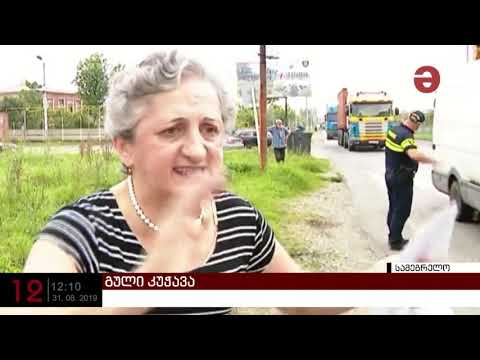 აქცია სენაკში