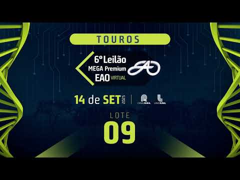 LOTE 09
