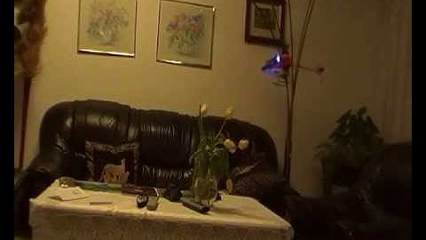 Blade mCP X- my first flight