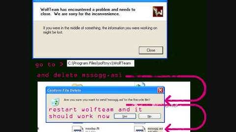 How to fix a Wolfteam Error Reload 0001