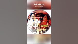 tình đồng chí đan trường