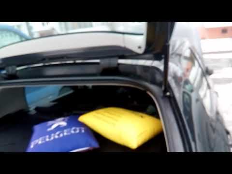 Peugeot 307. Новые амортизаторы багажника: G.U.D GGS020421.