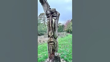 Wise mystical tree 2 #music #love