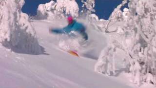 HIGHLIGHTS FROM TRYSIL 2010