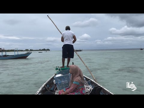 فيديو: هل جزيرة باري جزيرة؟