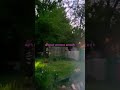 xingyiquan: friday may 1, 2026 5:53am #wellness #exercise #outdoors #shortsfilm #video