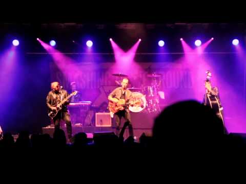 Black Widow Spider Video