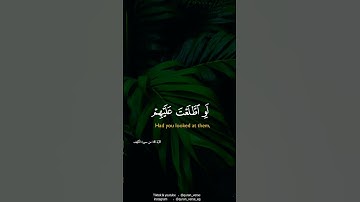 قرآن كريم بصوت ادريس أبكر | لاتنسوا قراءة سورة الكهف ليلة الجمعة أو يوم الجمعة | حالات واتس اب دينية