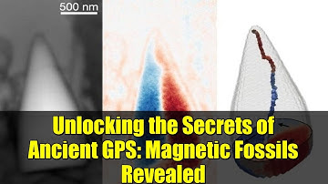 Unlocking the Secrets of Ancient GPS: Magnetic Fossils Revealed