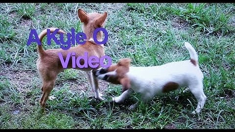 Powerfloat Installation