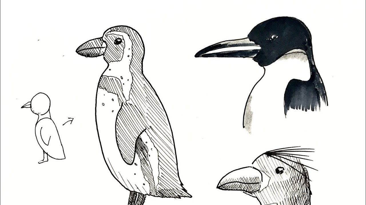 6分でわかるペンギンのペン画の描き方 Youtube