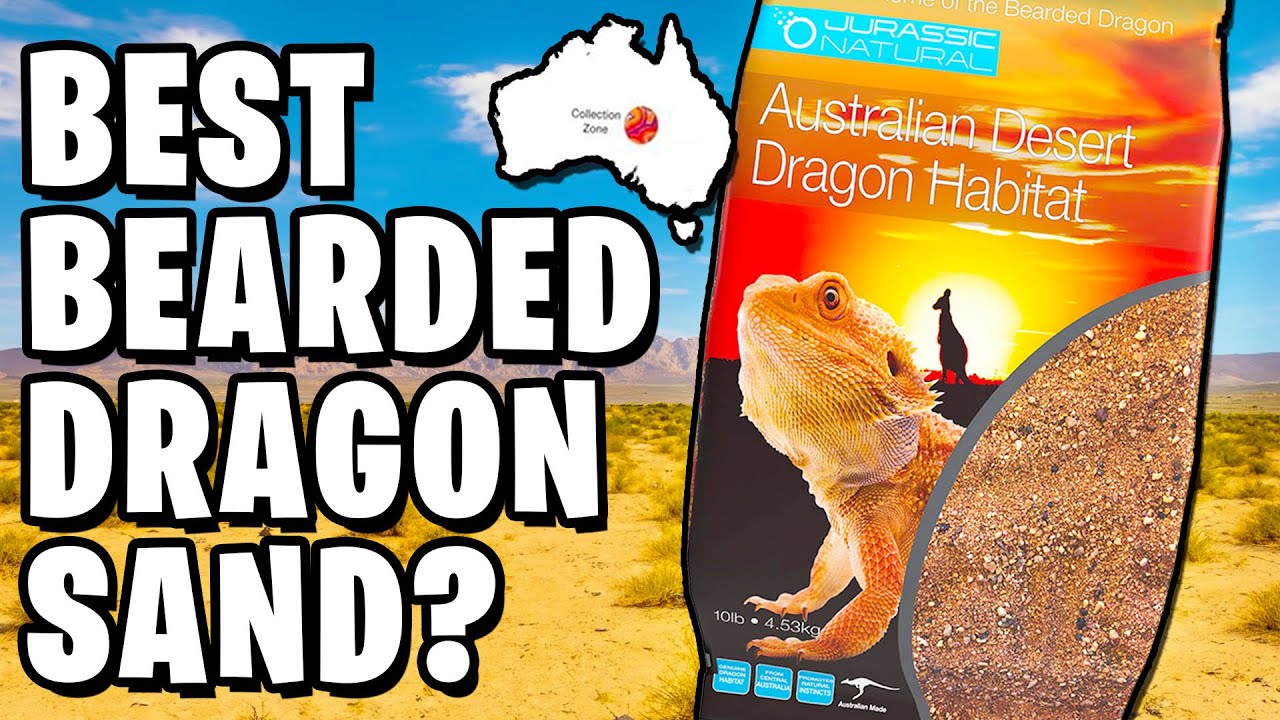 Curated visual reference: Gallery Detail: Best Bearded Dragon Substrate Jurassic Sand Review