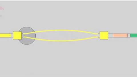 5 2 Isotype Switching