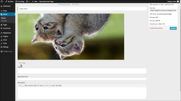 Wordpress Image Editor