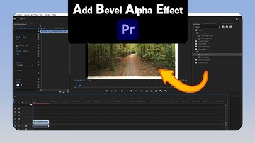 How to Add Bevel Alpha Effect on Premiere Pro [NEW]