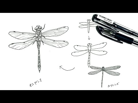 6分でわかるトンボのペン画の描き方 Youtube