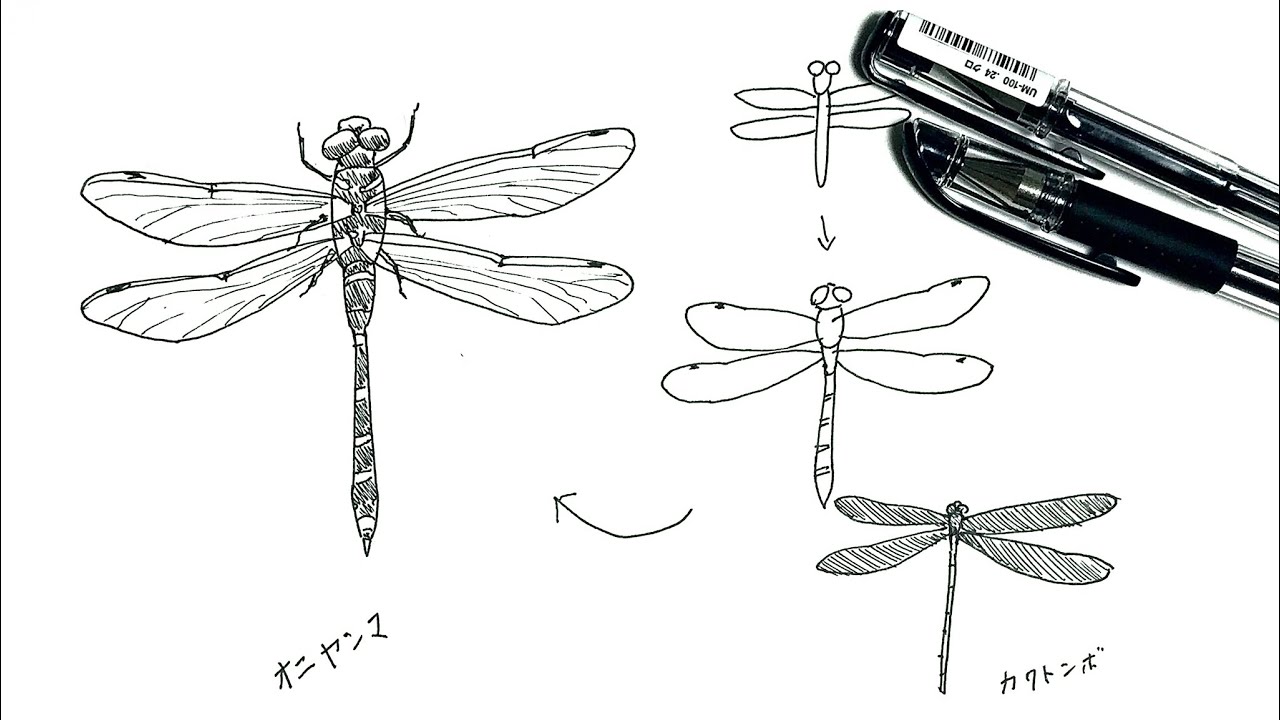 6分でわかるトンボのペン画の描き方 Youtube