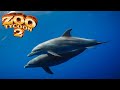 Bottlenose Dolphin Exhibit Speed Build - Zoo Tycoon 2