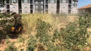 Elderly tenants moved out and haven’t mowed in months
