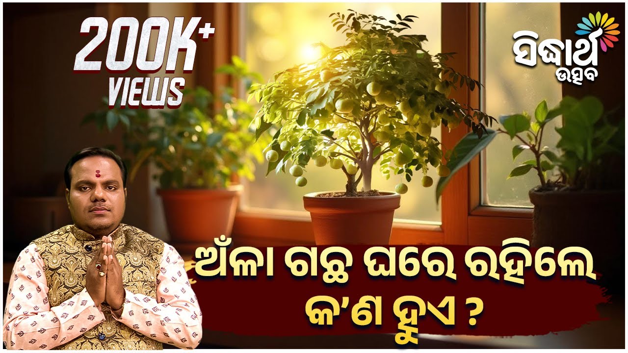 ଅଁଳା ଗଛ ଘରେ  ରହିଲେ କଣ ହୁଏ ? | Bhakti Jigyansha | Chitaranjan Mohapatra | Sidharth Bhakti