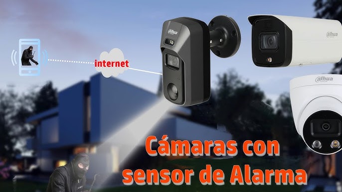 Cámaras con Sensor de Movimiento y Alarma 